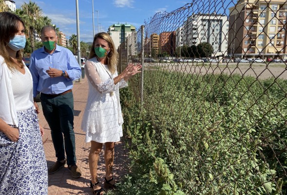 El PP afirma que el conservatorio de Castelló 