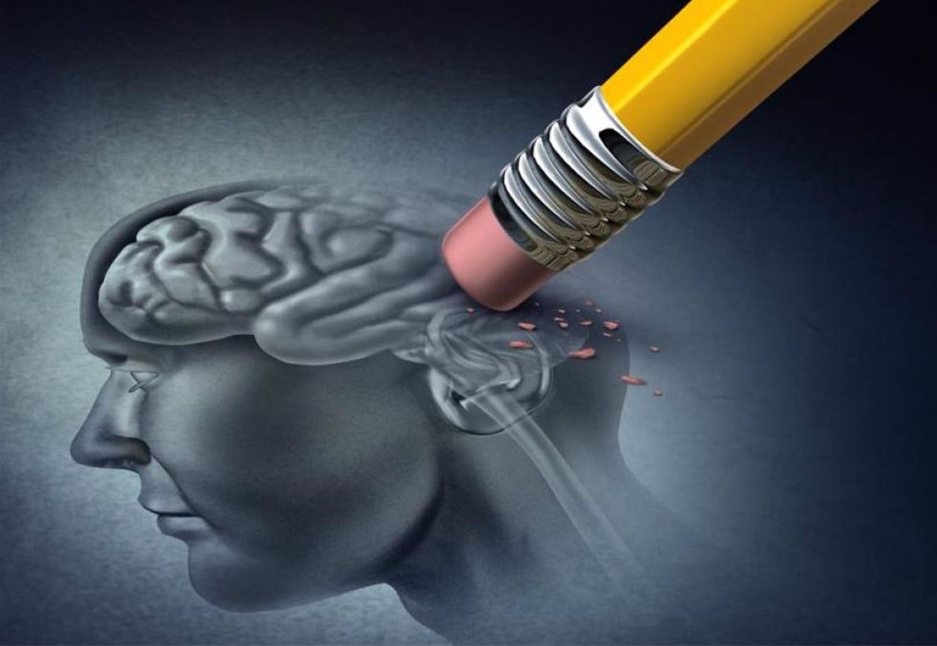Jugar a las cartas o hacer crucigramas y una dieta sana: la fórmula más eficaz contra el Alzheimer