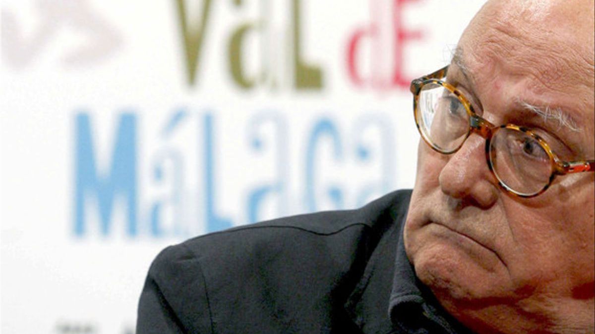 Muere el director de cine Mario Camus