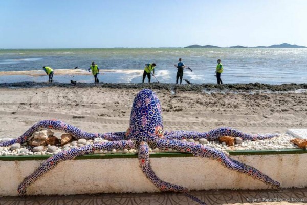 El Mar Menor incorpora a 31 trabajadores para la protección y regeneración de la laguna 