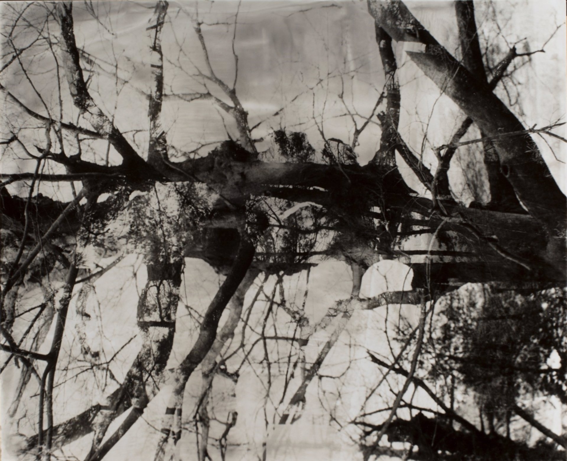 Shigeru Onishi (Takahashi, 1928-1994) . Sin Título. - 