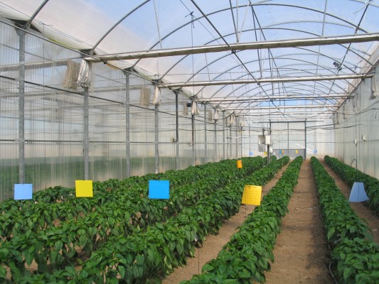 Agricultura 4. 0. Invernaderos ecoeficientes