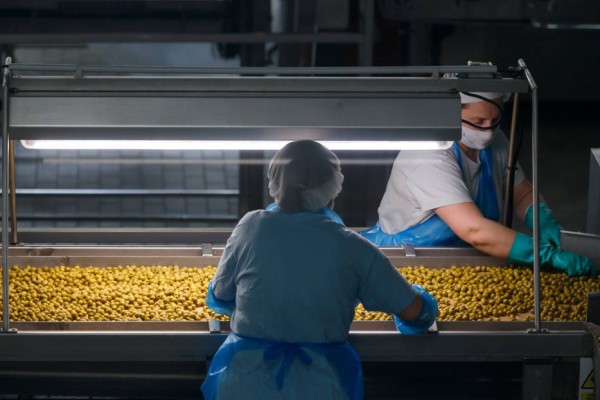 Aceitunas Serpis exprime el auge de los aperitivos en la pandemia y crece un 20% hasta 42 millones