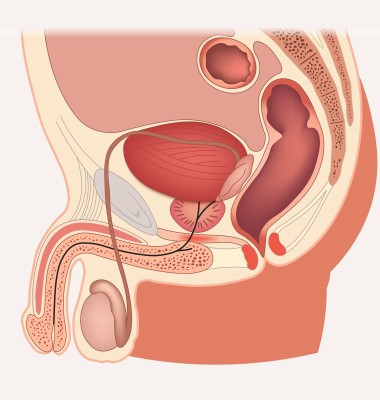 Consejos para mantener tu salud prostática