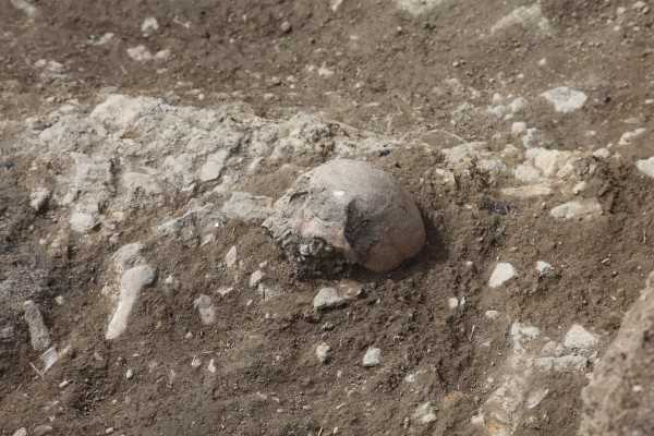 Hallan restos de inhumaciones en las nuevas excavaciones arqueológicas de Portell de Morella 