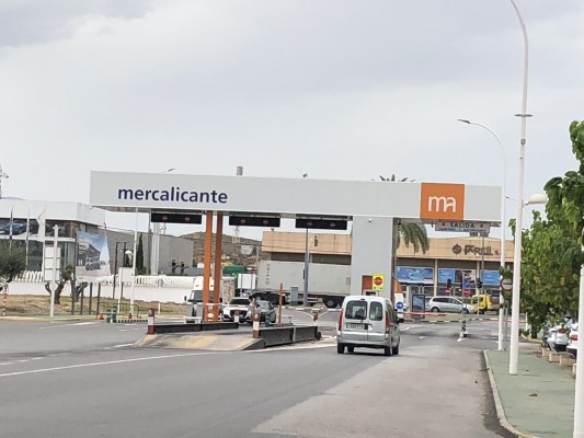 Mercalicante planifica su ampliación tras rebasar el 95% de ocupación con dos nuevas distribuidoras