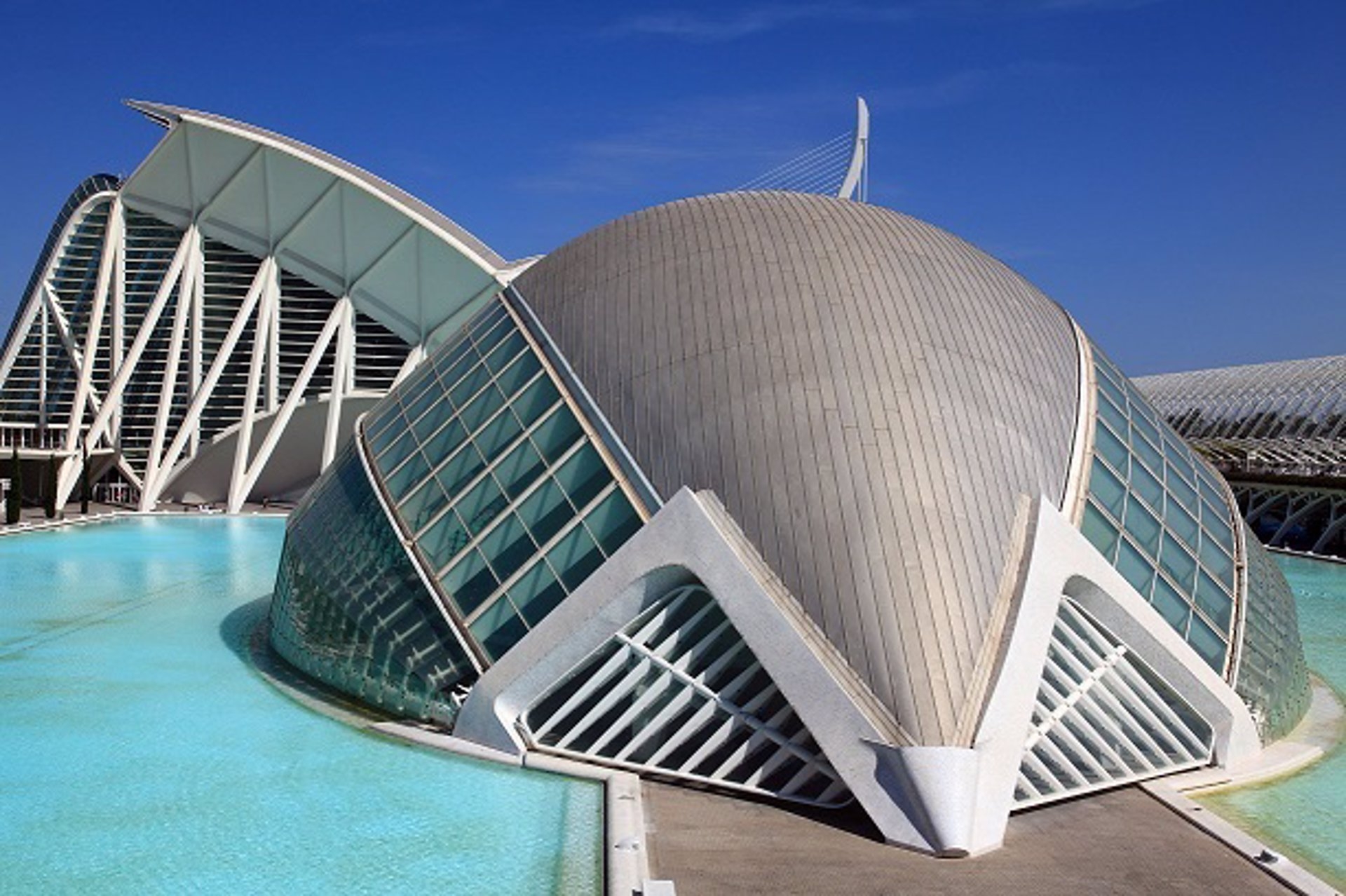La Ciutat de Les Arts renueva su oferta cultural