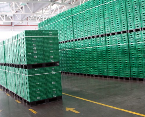 Logifruit ha invertido 280 millones de euros en sus 20 años de historia