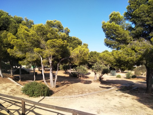 Calp crea barreras vegetales para frenar los daños de las tormentas en la Vallesa con 287.000 euros

