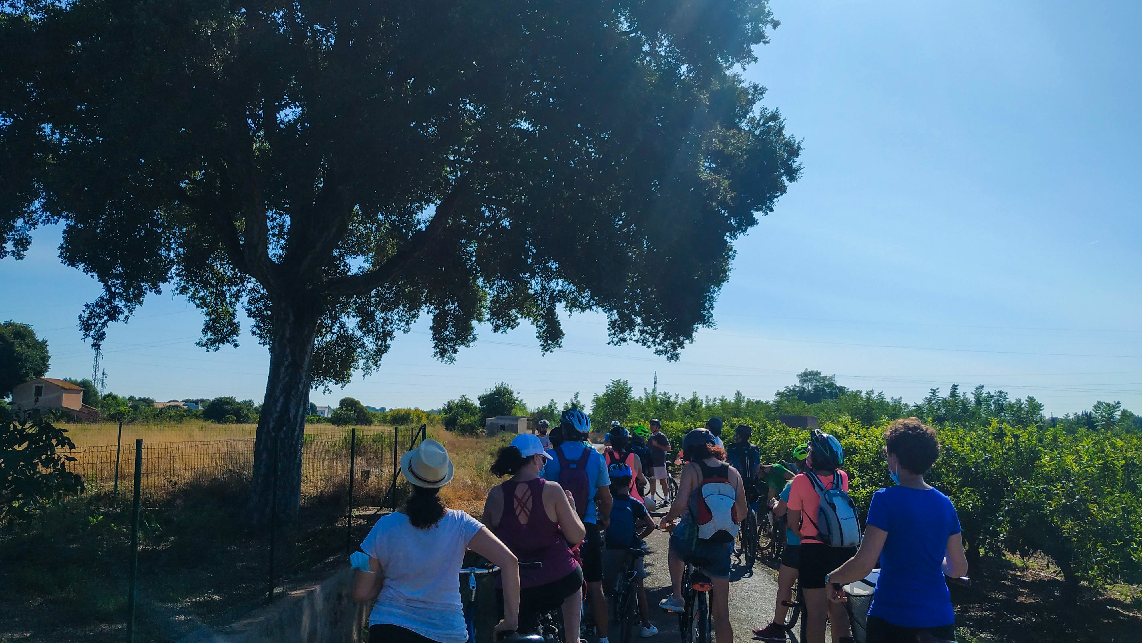 Castelló organiza una ruta ciclista en la Marjaleria para realzar su riqueza ambiental