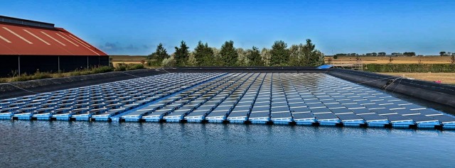 Weitec, la empresa oriolana que incorpora la tecnología en la agricultura para optimizar los recursos 