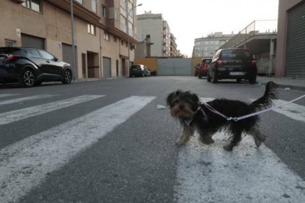 Vila-real licita las obras para demoler el muro de Herarbo tras años de quejas vecinales