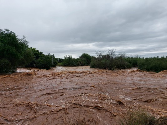 La Unió informa de graves daños localizados a causa de unas lluvias en general positivas