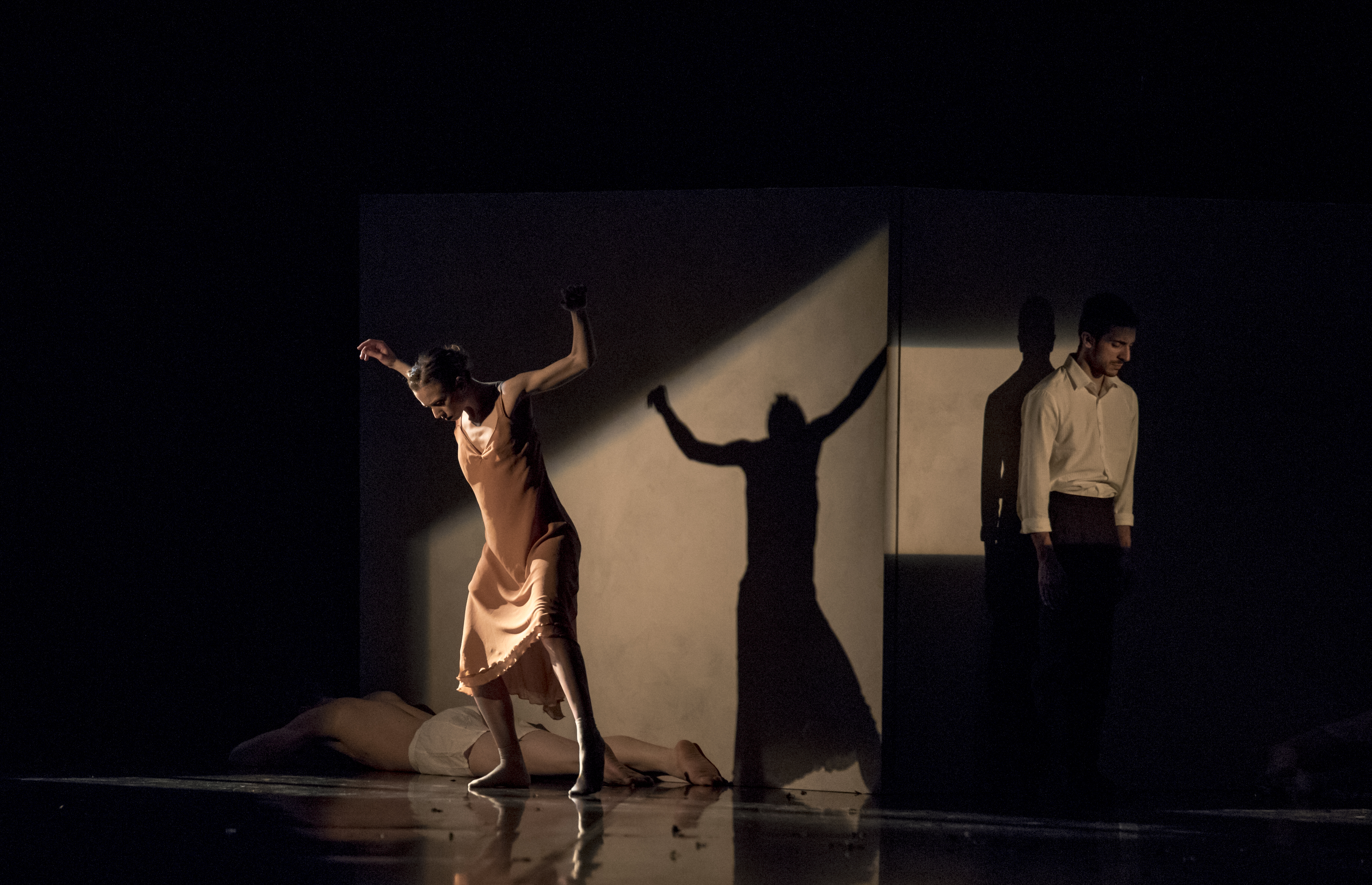 La danza se inspira en Schubert o Hopper en el TAC

