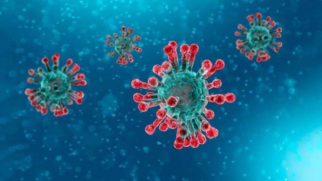 La OMS analiza una nueva variante de la covid detectada por primera vez en Colombia