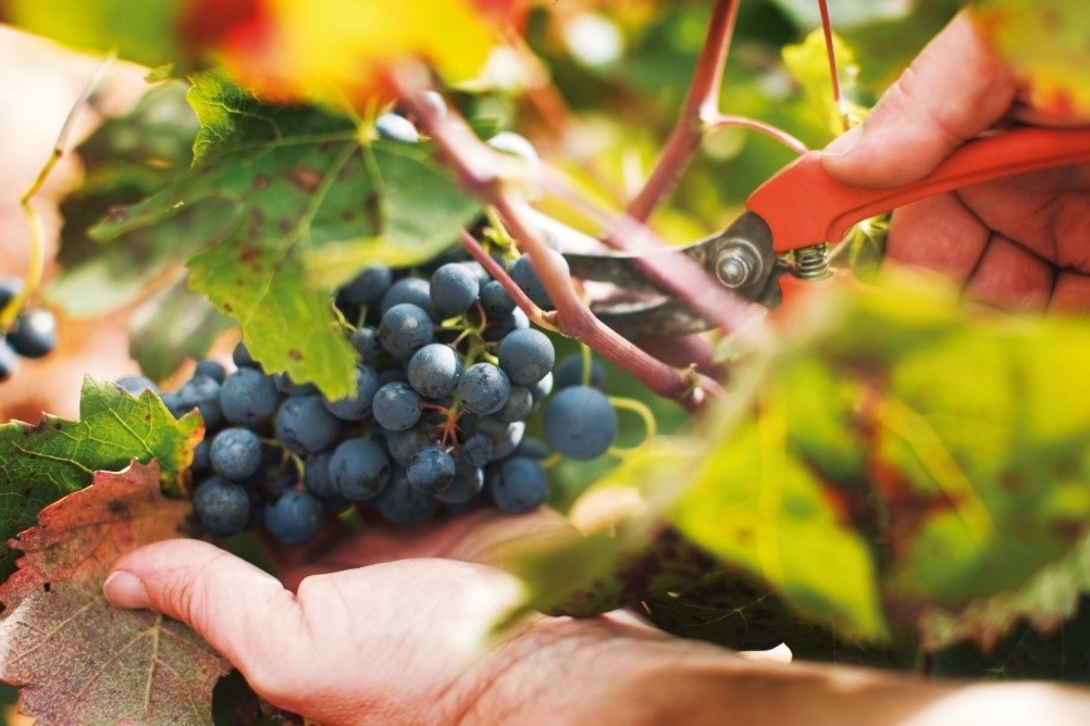 La Unió reclama medidas para evitar el precio 