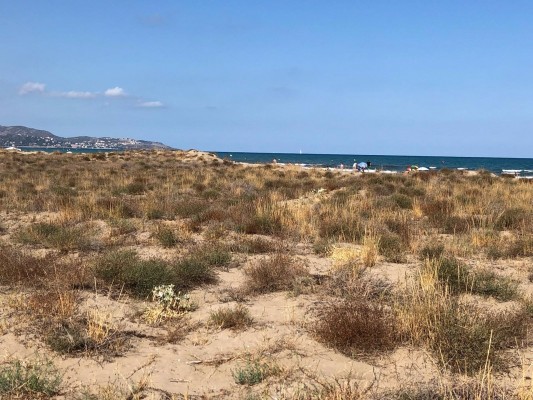 Castelló prohíbe el baño en el Pinar, el Gurugú y el Serradal por la rotura de un colector de aguas residuales
