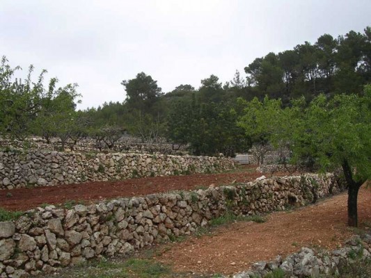 En las tierras de la piedra: bancales, riuraus, torres y 6.000 escalones

