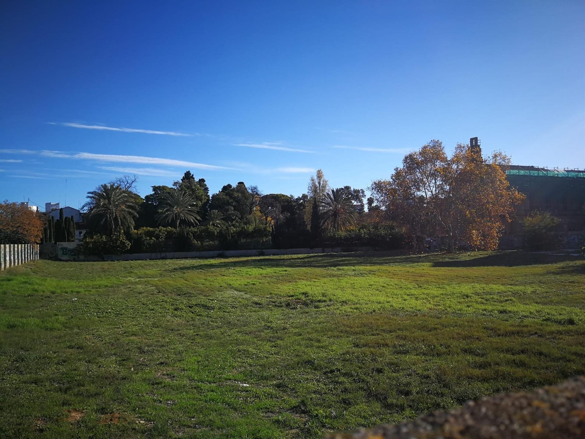 València convoca el concurso para diseñar el futuro jardín Trino Simó, en el antiguo solar de Jesuitas