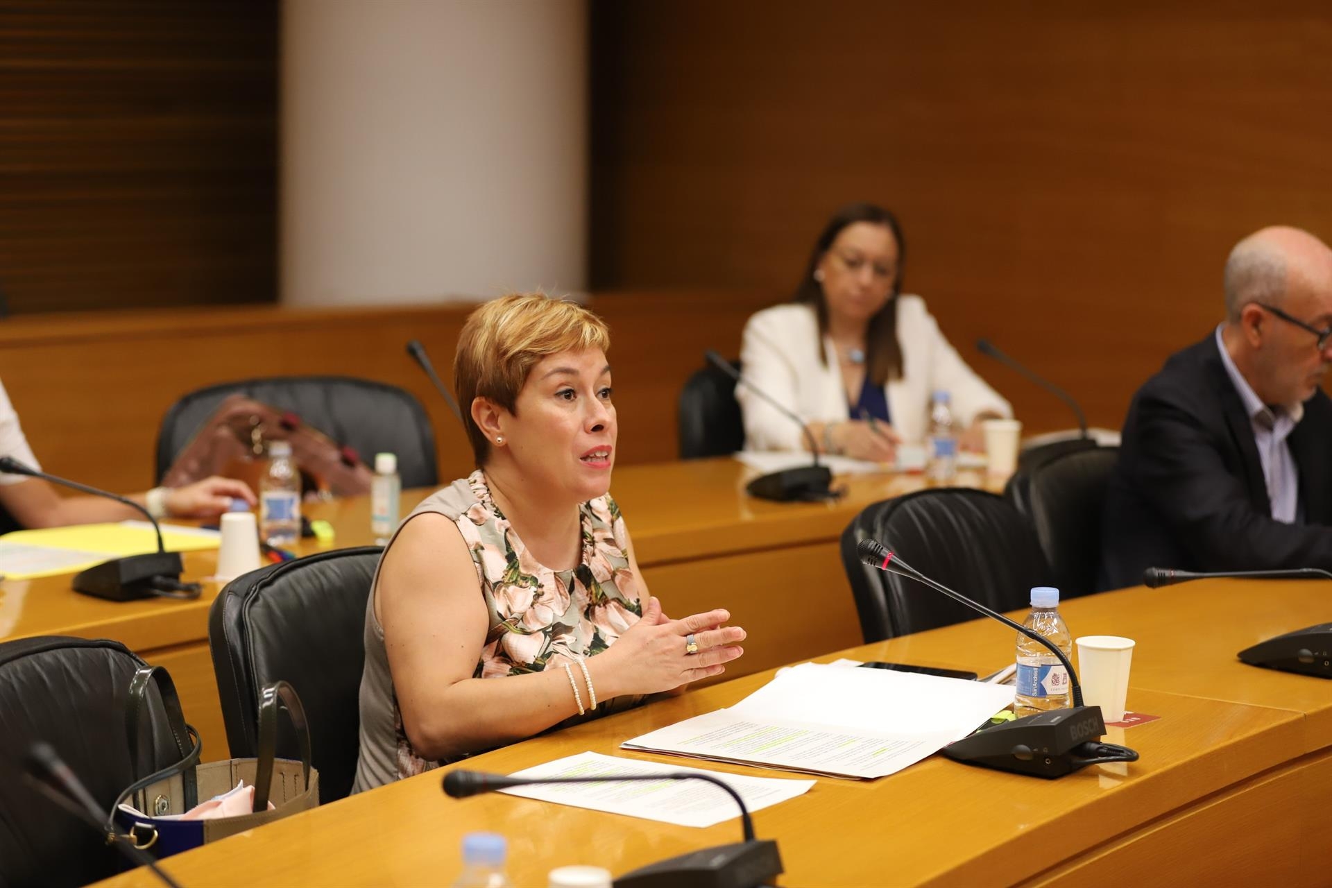 Cs pide la comparecencia de Marzà ante el inicio del curso porque 