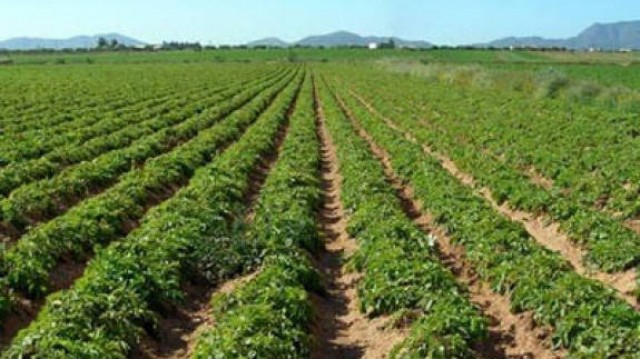 La agricultura, esencial en la lucha contra el cambio climático