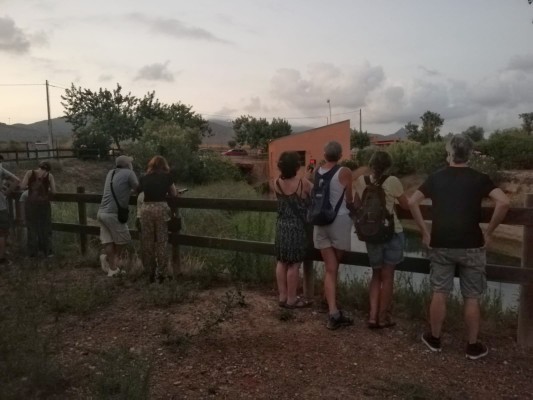 Castelló realza la colonia de murciélagos del Molí la Font, una de las más importantes de Europa