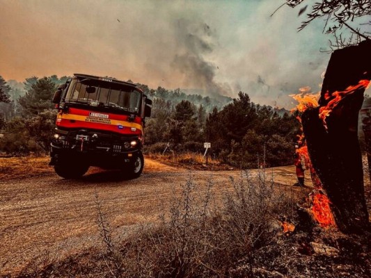 El Gobierno declara como zona catastrófica la superficie quemada en el incendio de Azuébar