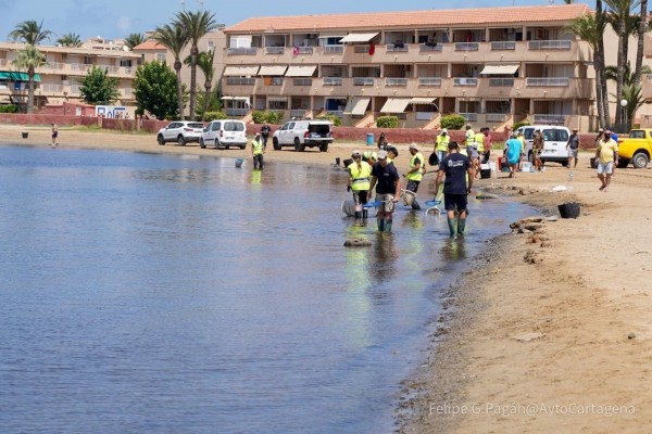 El Colegio de Biólogos de la Región pide que se reduzca la agricultura intensiva en la zona del Mar Menor