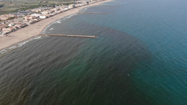 El análisis atribuye a una microalga la mancha de las playas de Puçol, El Puig y La Pobla de Farnals