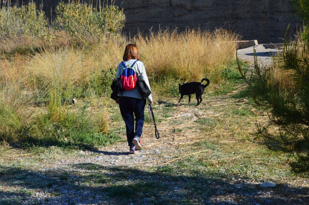 El Consorcio de la Desembocadura del río Mijares recuerda la prohibición de llevar perros sueltos