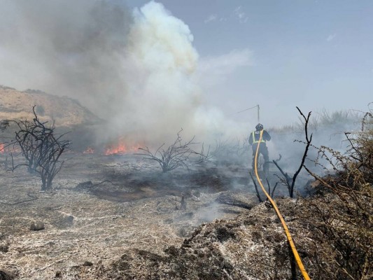 La Región, de nuevo en alerta extrema por incendios forestales