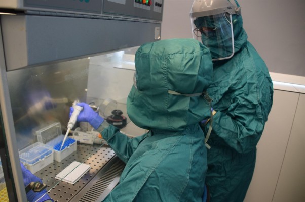 Nueve investigadores con experiencia internacional, contratados por las ayudas GenT
