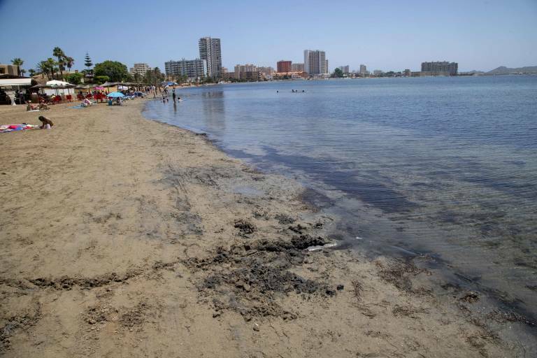 El Ayuntamiento de Murcia se suma a la iniciativa para que el Mar Menor tenga personalidad jurídica propia