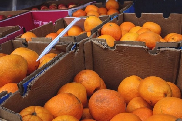 La Generalitat prepara el borrador de la ley de promoción de la calidad agroalimentaria
