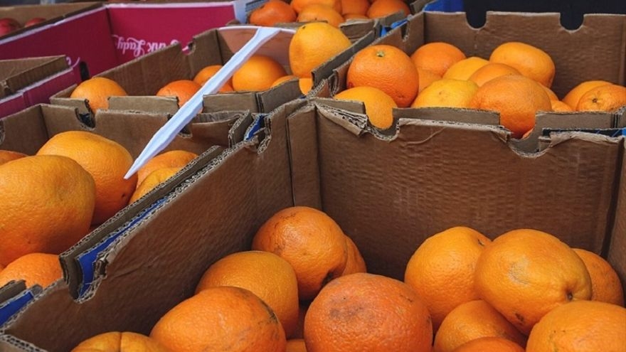 Las importaciones agrícolas de Egipto ponen en juego la seguridad alimentaria de la Unión Europea