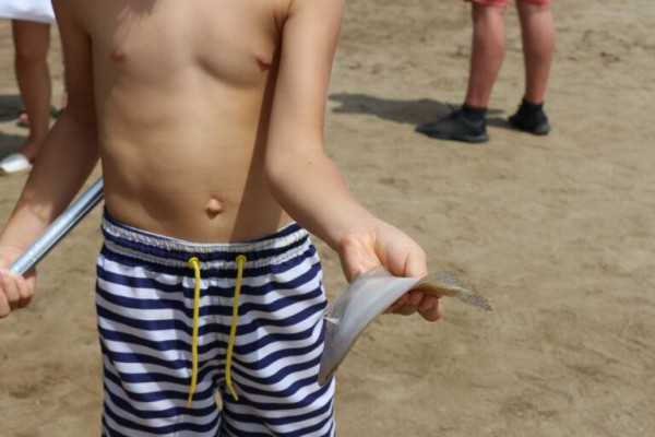 Anse no descarta la anoxia en el Mar Menor: 