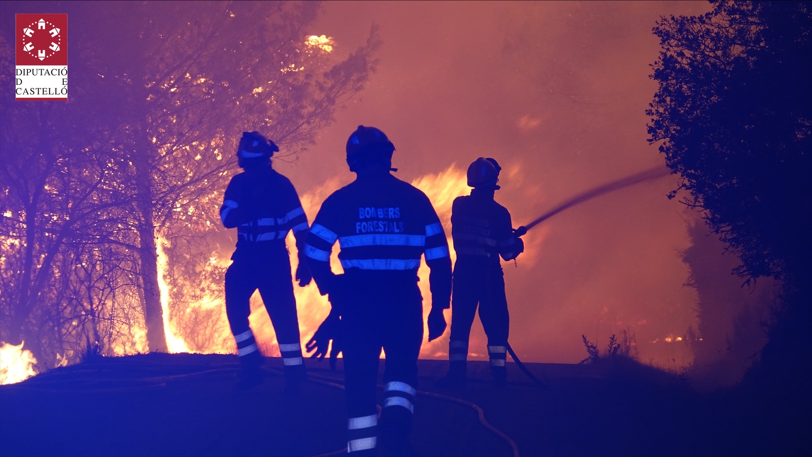 Los bomberos de Diputación intervienen en 21 incendios  durante la ola de calor 