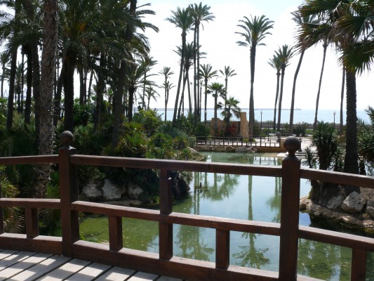El Ayuntamiento de Alicante destinará casi medio millón de euros a renovar el Parque el Palmeral