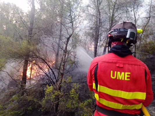  Vuelven a sus casas los vecinos de Azuébar desalojados por el incendio