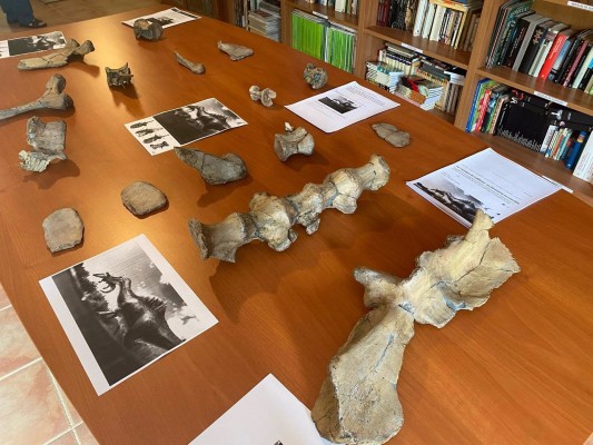 Reproducen los huesos del dinosaurio 'Vallibonavenatrix' hallados en Castellón
