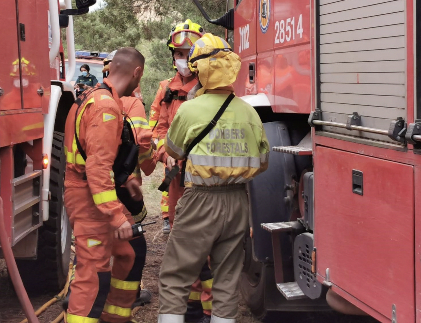 Estabilizado el incendio forestal de Bicorp