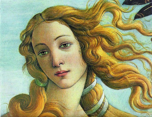 La bella Simonetta
