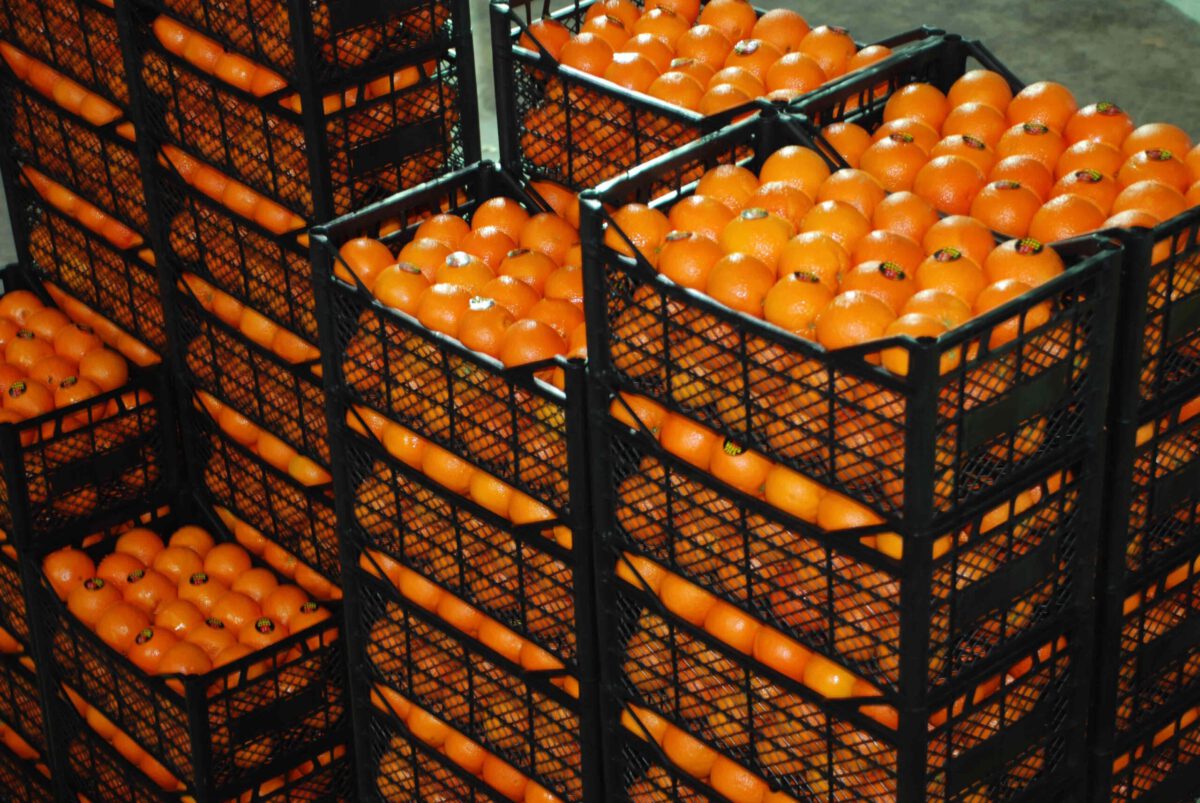 La Unió alerta de la llegada de fruta y verdura turca con restos del insecticida prohibido en Europa