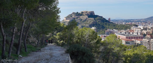 Alicante cierra los parques forestales de Serra Grossa y Monte Orgegia por el elevado riesgo de incendio

