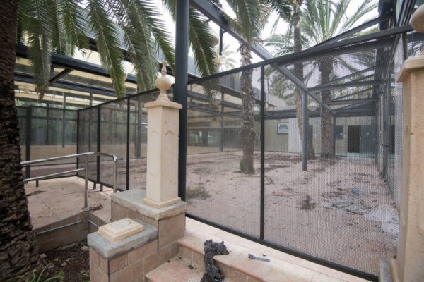 Segundo intento en Elche para encontrar inquilino en el Parque Municipal: puede haber dos interesados