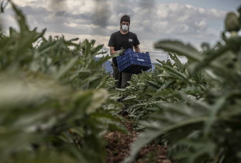 AVA-Asaja advierte de que Bruselas pretende sustituir la agricultura europea por la foránea