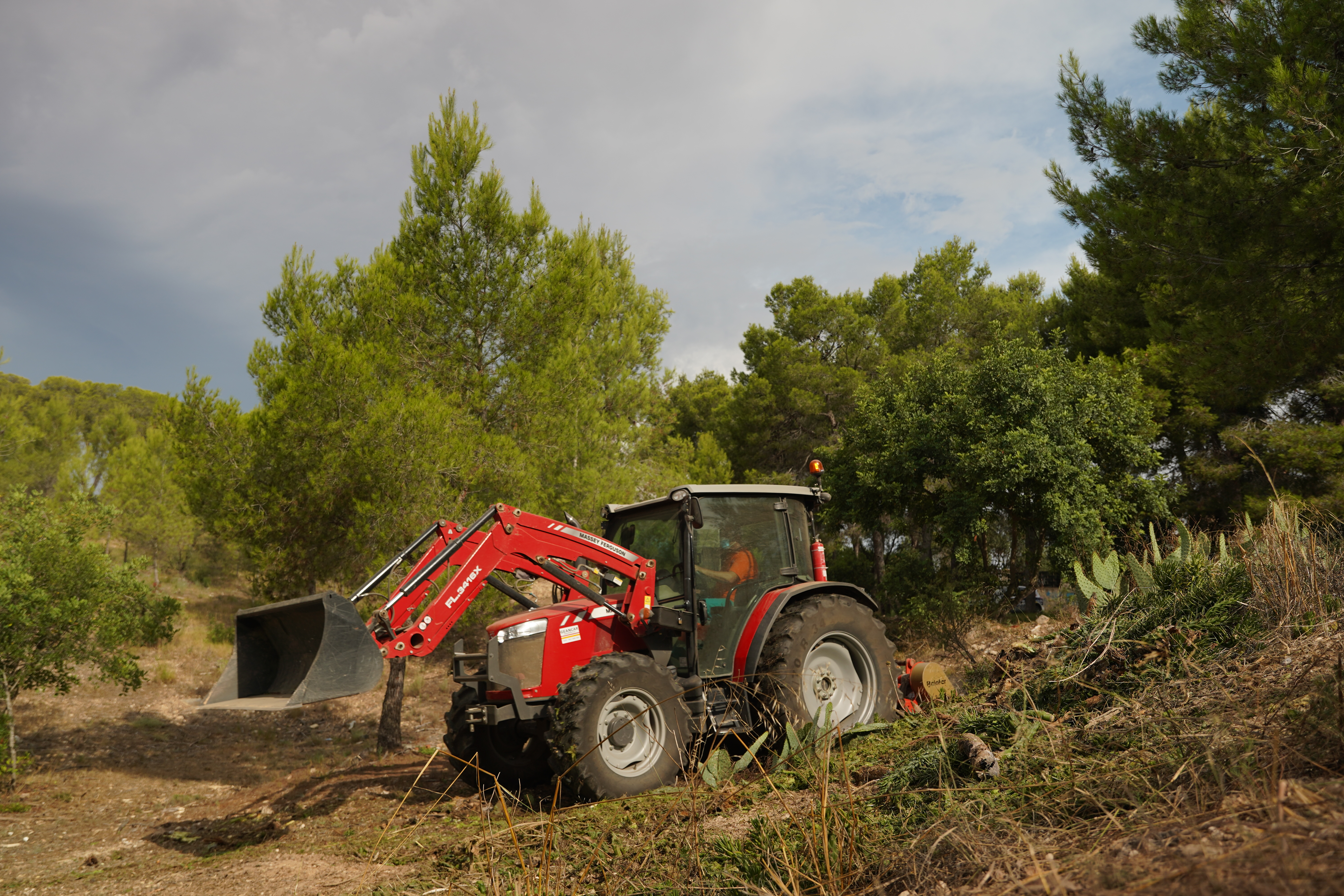 Paterna actúa en La Vallesa para reforzar su protección ante los incendios 