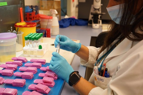 Investigadores del CSIC buscan fármacos de precisión para atacar los mecanismos del cáncer