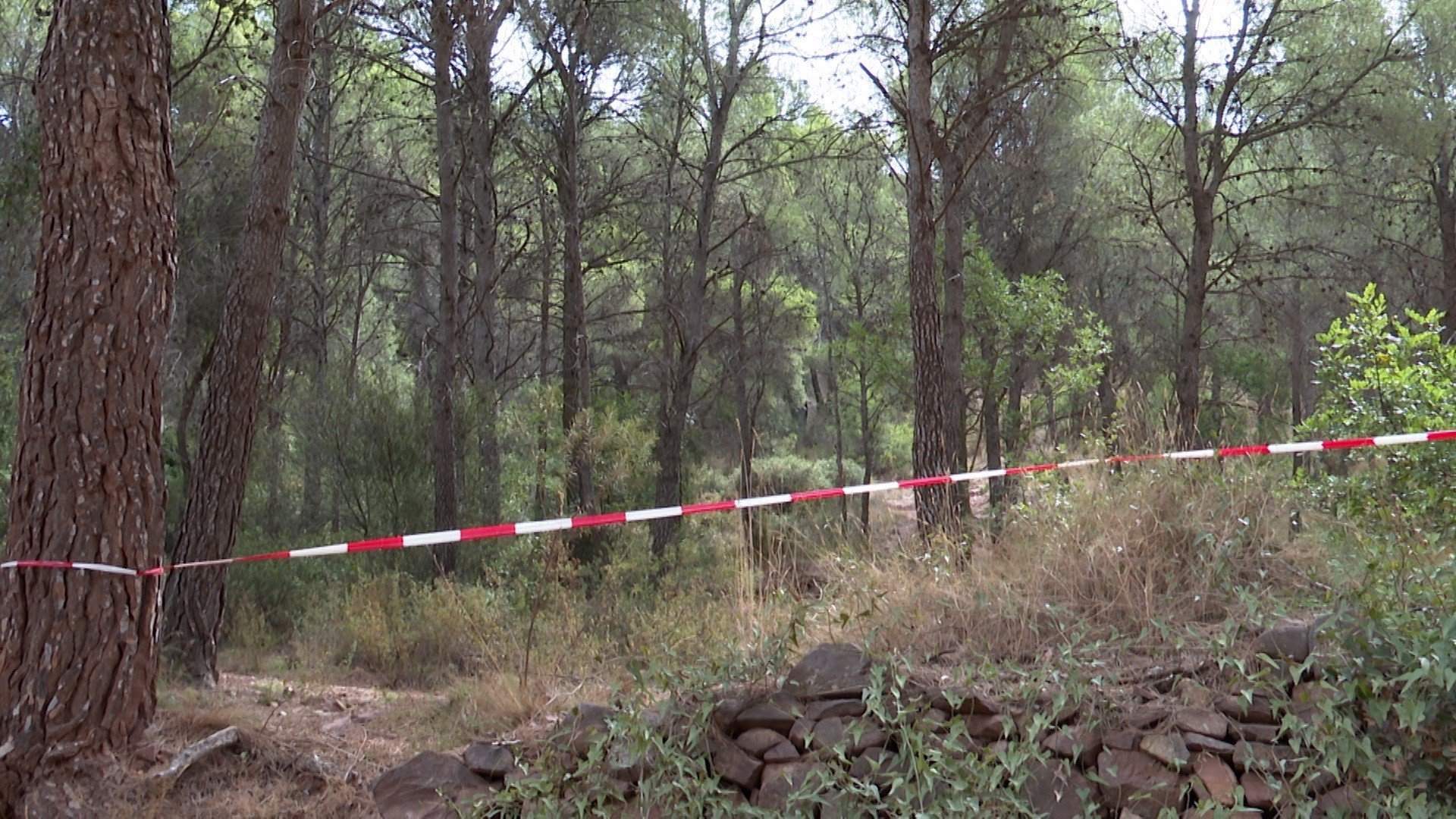 La Generalitat amplía a 15 los parques naturales con movilidad restringida durante la ola de calor