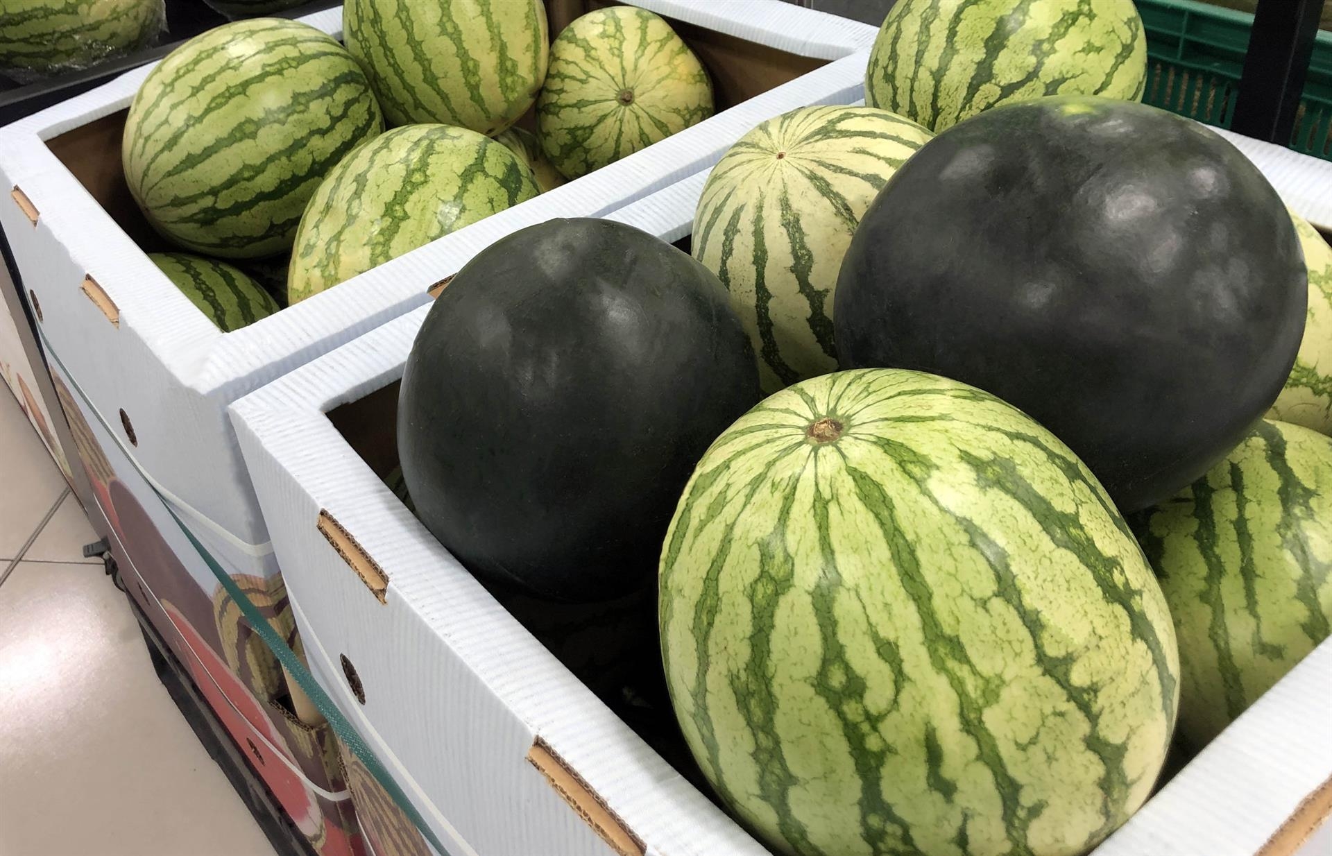 Sandía en el lineal de Mercadona. Foto: MERCADONA - 
